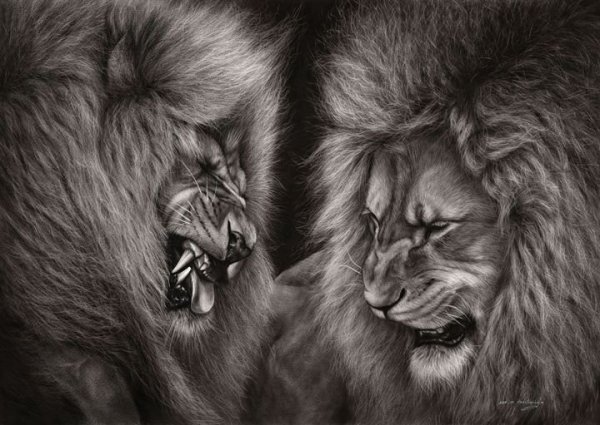 oil paper original painting lion fight