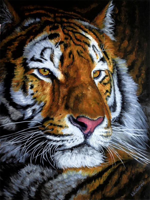 Tiger Tiger! Oil painting by Andrew Schofield